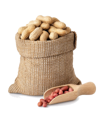 unshelled-peanuts-sack-isolated-white-background_1004890-1246